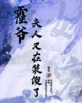 霍爷,夫人又去摆