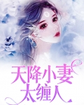 天降小妻太缠人