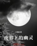 夜幕下的幽灵