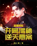 直播探险，开局揭秘逆天悬案