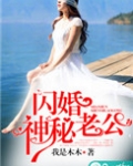 闪婚神秘老公