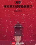 端妃的小说