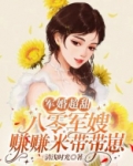 军婚超甜：八零军嫂赚赚米带带崽