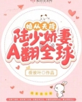 婚从天降，陆少娇妻A翻全球