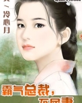 霸气总裁,不屈妻