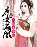 庶女二嫁穿越小说