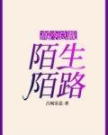 高冷总裁：陌生陌路