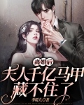 离婚后,夫人身价千亿