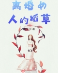 离婚女人的稻草
