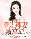 重生辣妻致富记