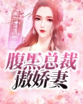 腹黑总裁傲娇妻沐芷安
