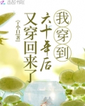 我穿到六十年后又穿回来了怎么不更新了
