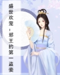 盛世欢宠：邪王的第一盗妾