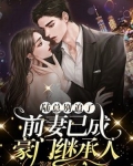 陆总别追了，前妻已成豪门继承人