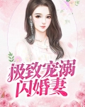 闪婚之宠妻无限