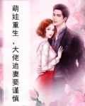 萌娃重生，大佬追妻要谨慎