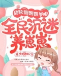 甜软囡囡四岁啦,全民沉迷养崽崽 小说