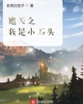 遮天之我是小石头