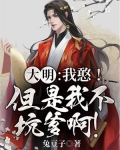 大明憨婿