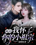 陆总我怀了你的小祖宗全集免费观看
