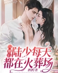 闪婚后，陆少每天都在火葬场