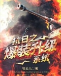 抗日之爆装升级系统在线阅读