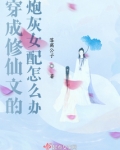 穿成修仙文的炮灰女配怎么办下载