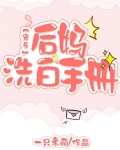 后妈洗白手册