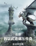 巫师：我以武道碾压传奇