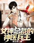 女神总裁的神医兵王