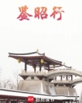 鉴昭行笔趣阁