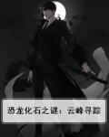 恐龙化石之谜：云峰寻踪