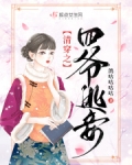 清穿之四爷的娇妃