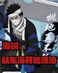 海贼：完美防反怎么躲！？