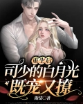 重生后，司少的白月光既宠又撩
