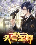 都市头号至尊