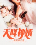 天降神婿叶红鱼全文免费阅读