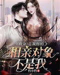相亲对象是总裁大人