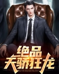 绝品狂龙小说