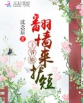 王爷爬墙
