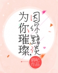 为你璀璨，因你黯淡