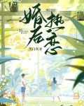 婚后热恋