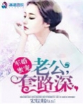 军婚蜜宠，老公套路深