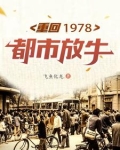 重返1978txt