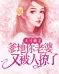 天才萌宝，爹地你老婆又被人撩了！
