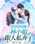 陆总小说