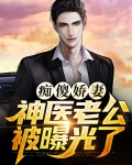 痴傻娇妻,神医老公被曝光了小说
