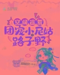 空间团宠小说