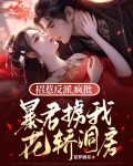 招惹反派,疯批暴君掳我花轿洞房TXT下载