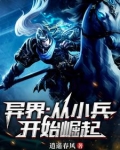 异世之从小兵到元帅